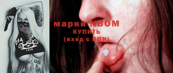 прущие грибы Армянск