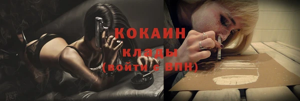 прущие грибы Армянск
